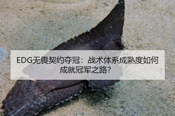 wu-wei-qi-yue-duo-guan-zhan-shu-ti-xi-cheng-shu-du-ru-he-cheng-jiu-guan-jun-zhi-lu-3-912.jpg