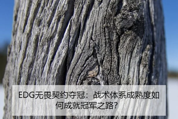 EDG无畏契约夺冠：战术体系成熟度如何成就冠军之路？